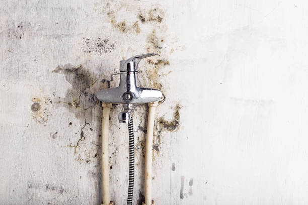 Best Mold Testing  in Anderson, CA