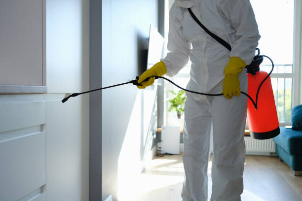 Best Mold Damage Repair  in Anderson, CA