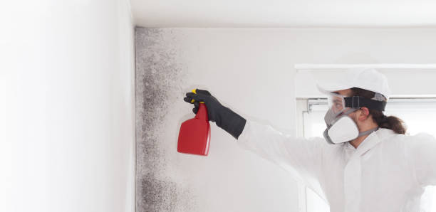  Anderson, CA Mold Removal Pros