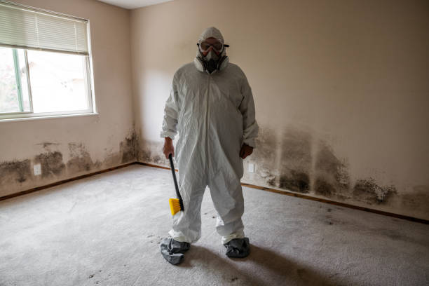 Best Toxic Mold Removal  in Anderson, CA